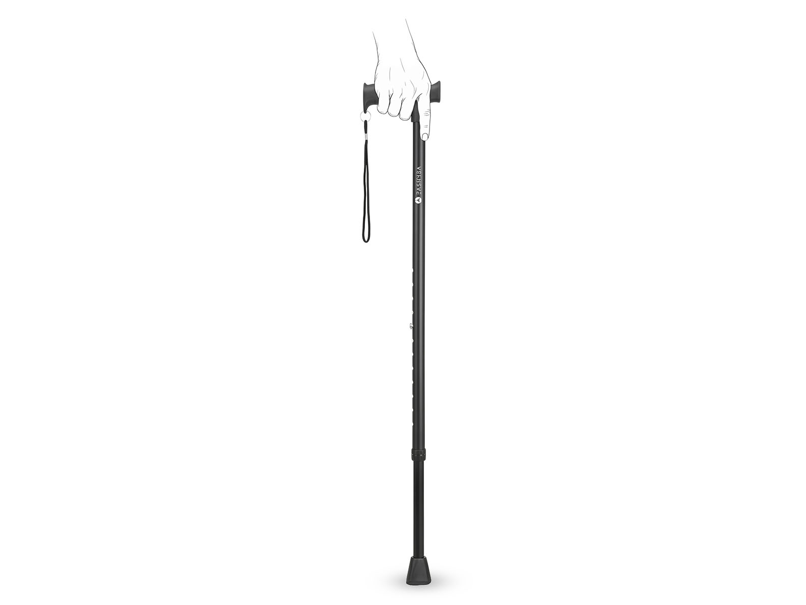  Wandelstok zwart W1.jpg (1)